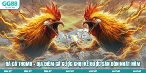 Đá Gà Thomo